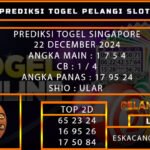 PREDIKSI TOGEL SINGAPORE 22/DESEMBER/2024