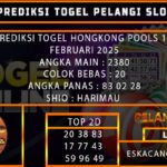 TOGEL HONGKONG 13
