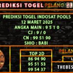9 idt