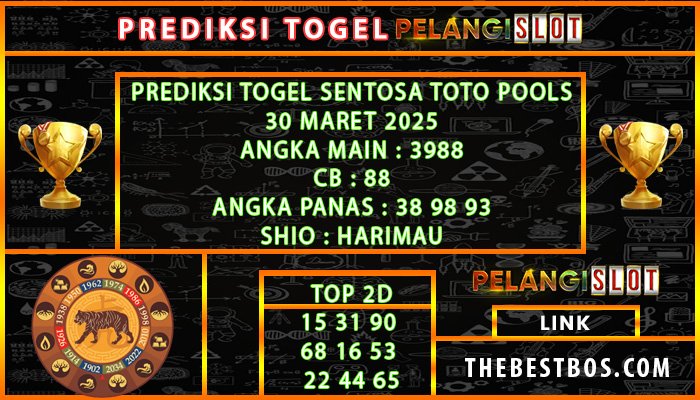 9 stt