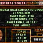 9 stt