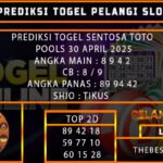 TOGEL SENTOSA TOTO
