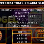 PREDIKSI TOGEL SINGAPORE 11/MEI/2025