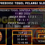 PREDIKSI TOGEL SENTOSATOTO 11/MEI/2025