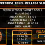 PREDIKSI TOGEL SYDNEY POOLS 18 JUNI 2025