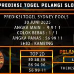 PREDIKSI TOGEL SYDNEY POOLS 30 JUNI 2025