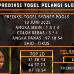 PREDIKSI TOGEL SYDNEY POOLS 13 JUNI 2025