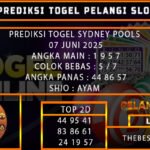 PREDIKSI TOGEL SYDNEY POOLS 07 JUNI 2025
