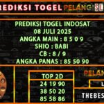 6 idt