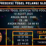 PREDIKSI TOGEL SENTOSA TOTO POOLS 10 AGUST 2025